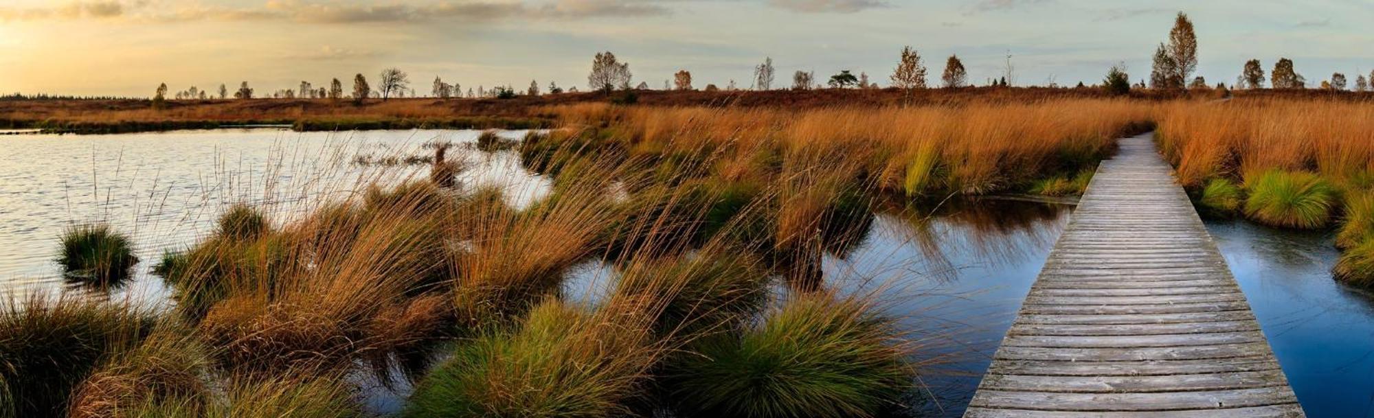 Holiday Inn Express Pascagoula-Moss Point By Ihg Eksteriør billede